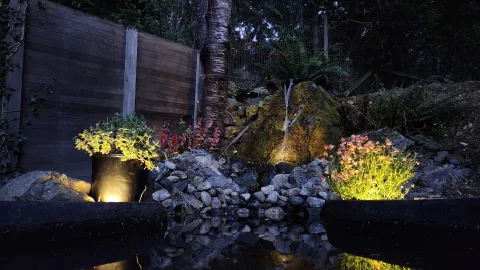 Pond Update