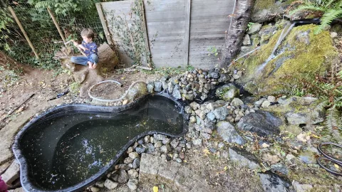 Pond Update