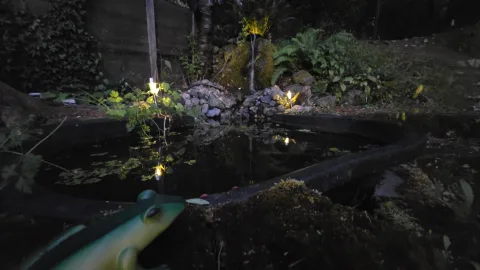 Current pond overview